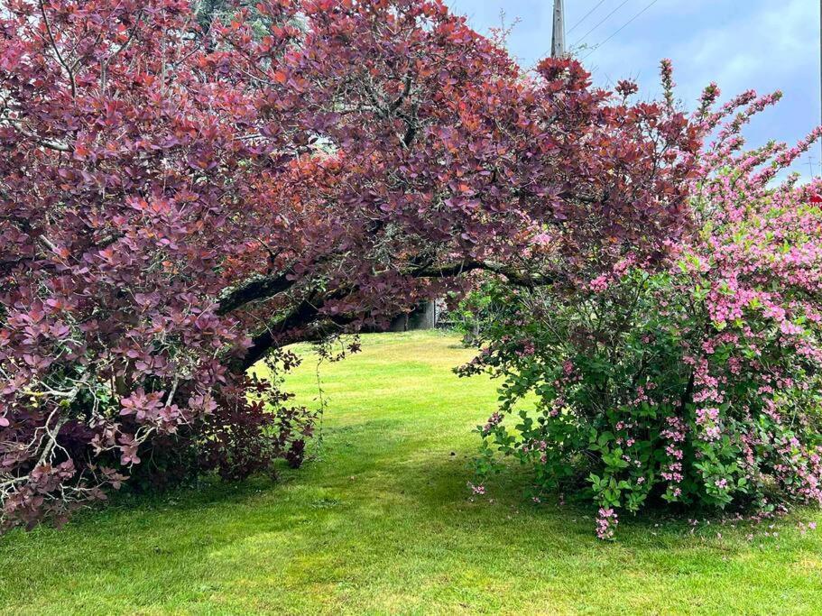 Gite De La Petite Fourmy Saint-Sulpice-les-Feuilles Εξωτερικό φωτογραφία