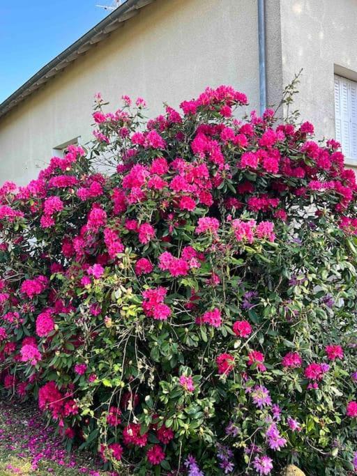 Gite De La Petite Fourmy Saint-Sulpice-les-Feuilles Εξωτερικό φωτογραφία