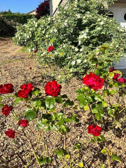 Gite De La Petite Fourmy Saint-Sulpice-les-Feuilles Εξωτερικό φωτογραφία